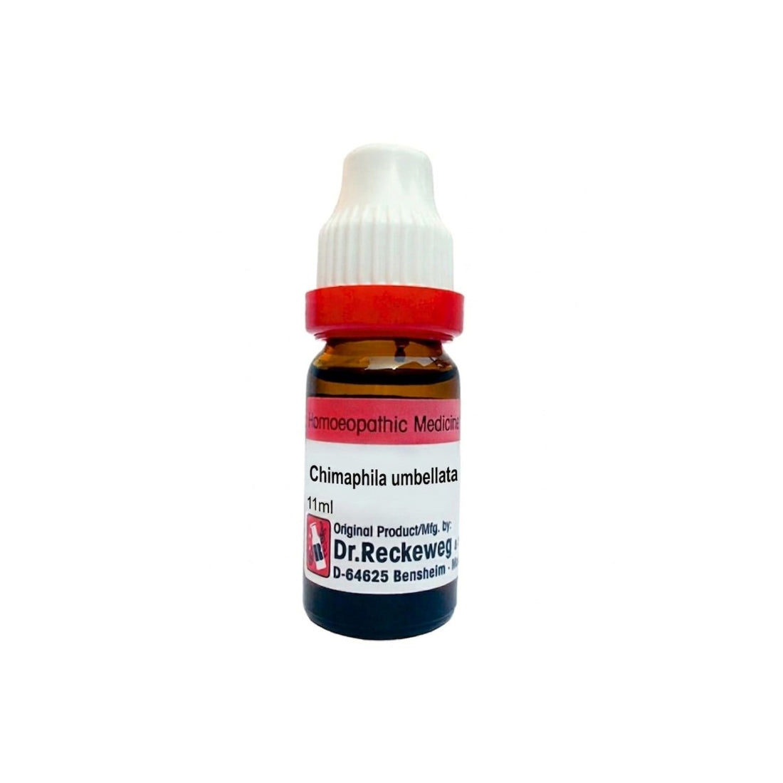 Chimaphila Umb