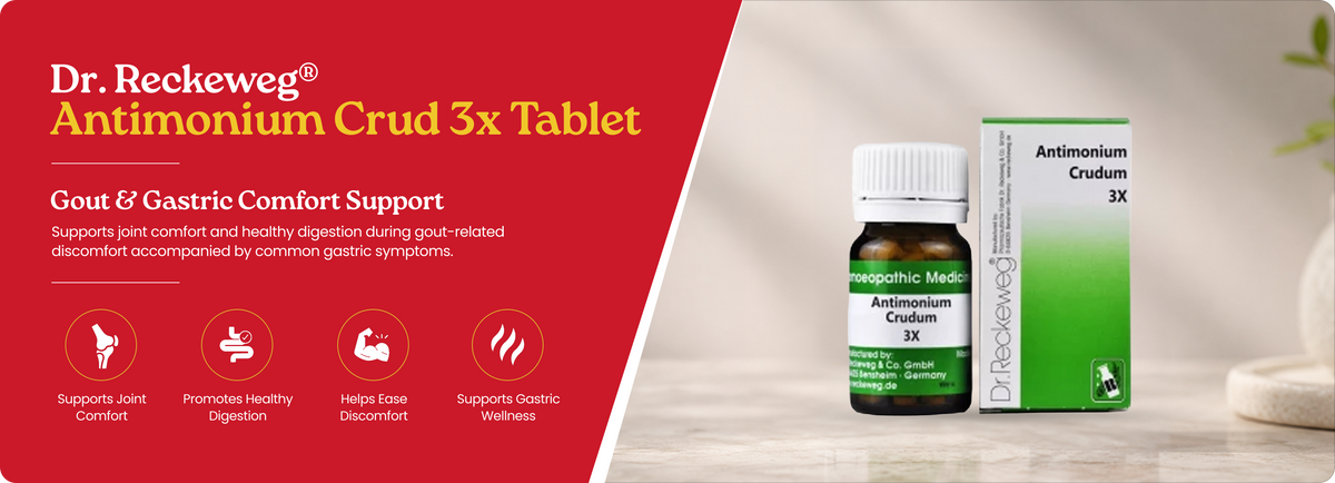 Antimonium Crud 3x Tablet