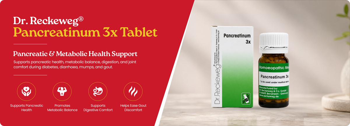 Pancreatinum 3x Tablet