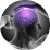 Nerve