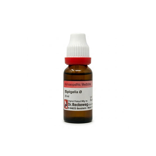 Spigelia Q